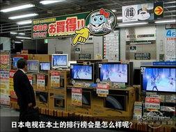 看日本的电视,日本电视节目深度解析