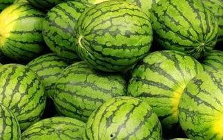 每日大赛吃瓜入口