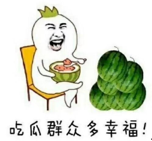 高贵的娱乐吃瓜,揭秘吃瓜群众的狂欢盛宴