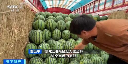 718娱乐吃瓜入口