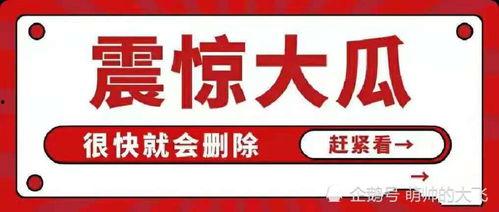 娱乐八卦吃瓜每日爆料,每日热点事件大盘点