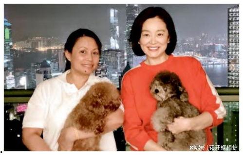 娱乐圈吃瓜真实故事改编